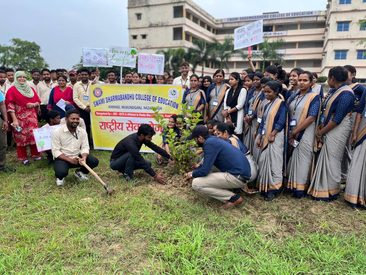 Tree Plantation